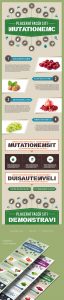 Infographics PSD Template in Food and Nutrition Theme